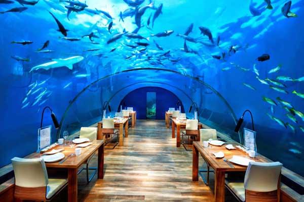 رستوران ITHAA  هنل کنراد مالدیو + تصاویر