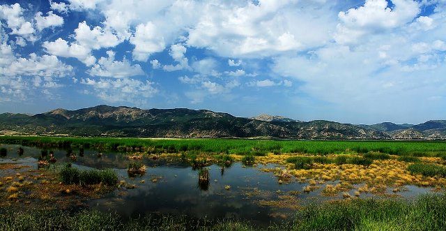 دریاچه زریوار استان کردستان