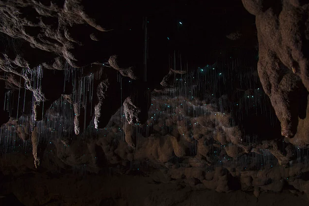 غار Witomo