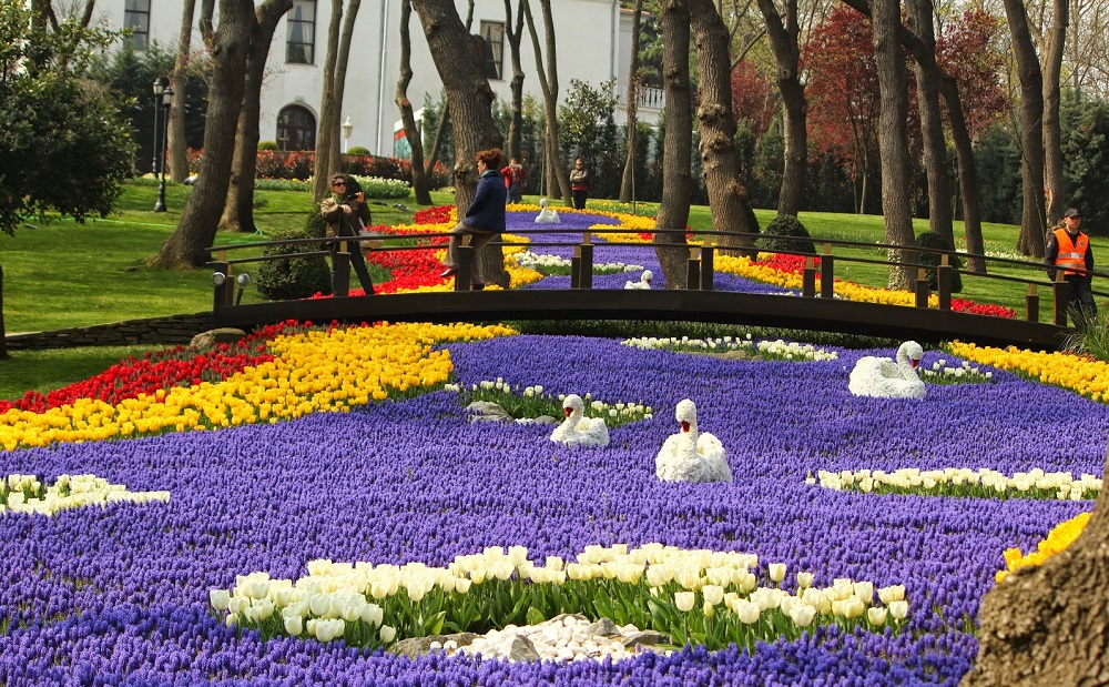 پارک امیرگان در جشنواره گل لاله استانبول