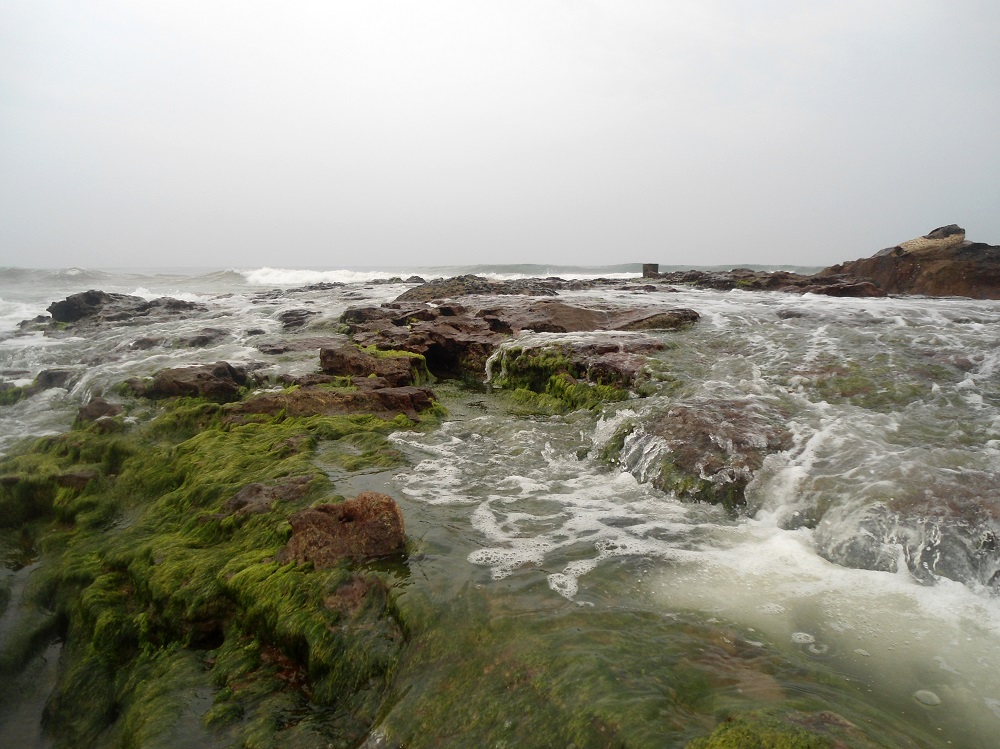 ساحل بهیمونی پینام در آندرا پرادش هند