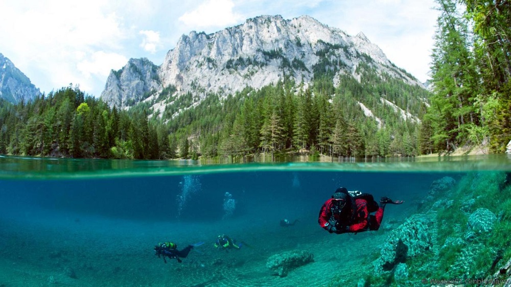 ماهی های پارک دریاچه سبز اتریش