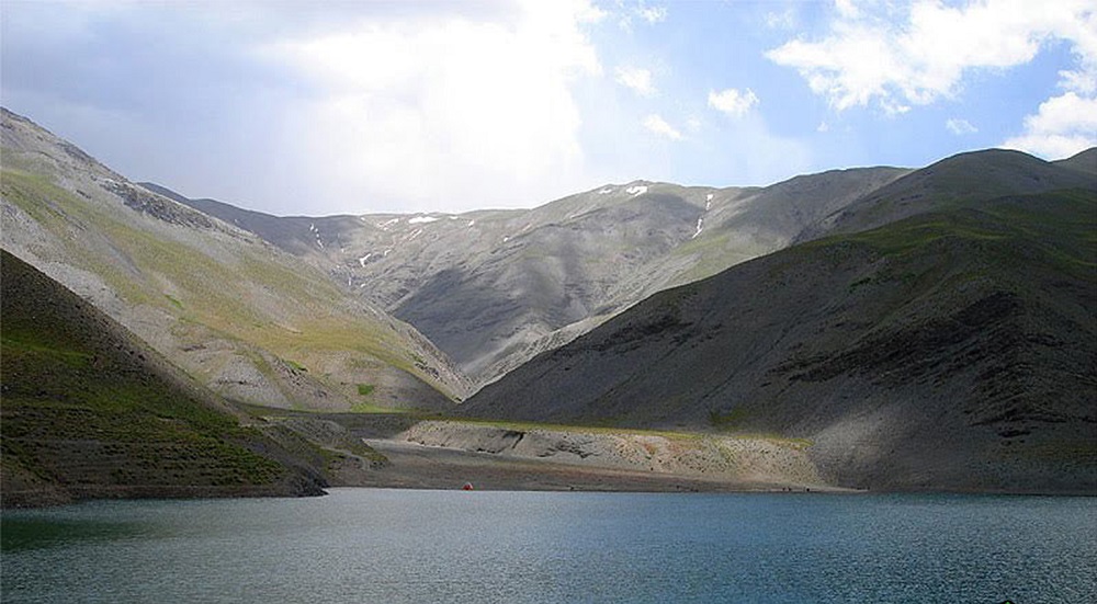 پوشش گیاهی و حیوانات دریاچه چشمه سبز مشهد