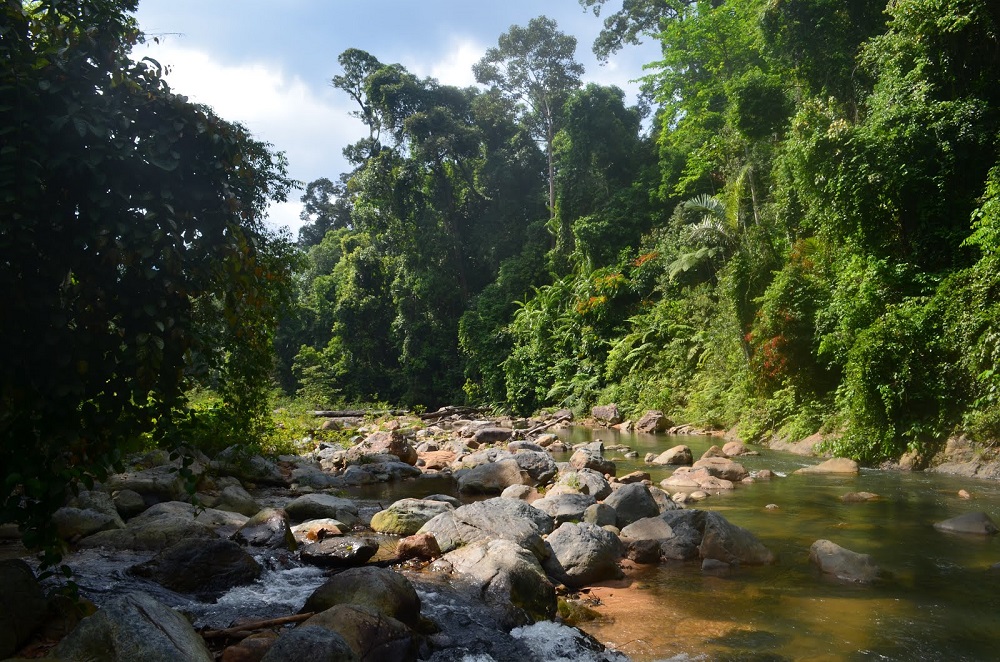 پارک ملی اندو رمپین مالزی