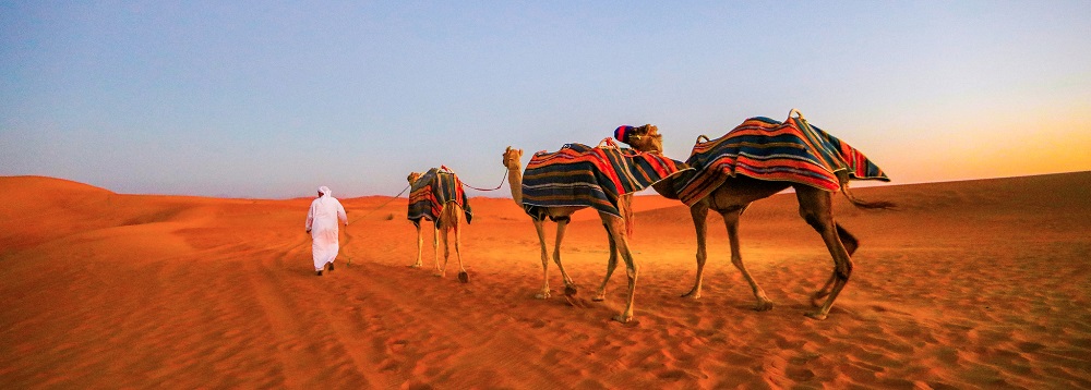 سافاری صحرا ‎در دبی