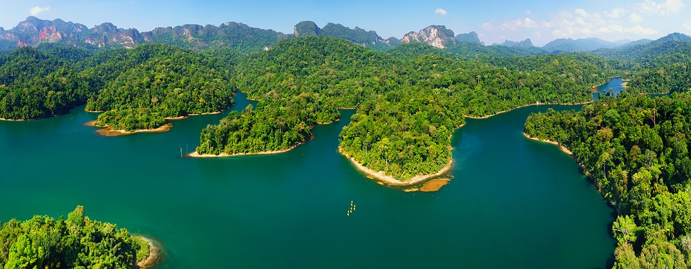 تایلند یکی از اکوسیستم های متنوع در جهان است