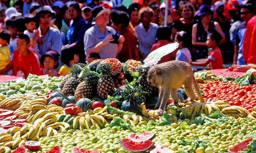 جشنواره میمون ها در تایلند