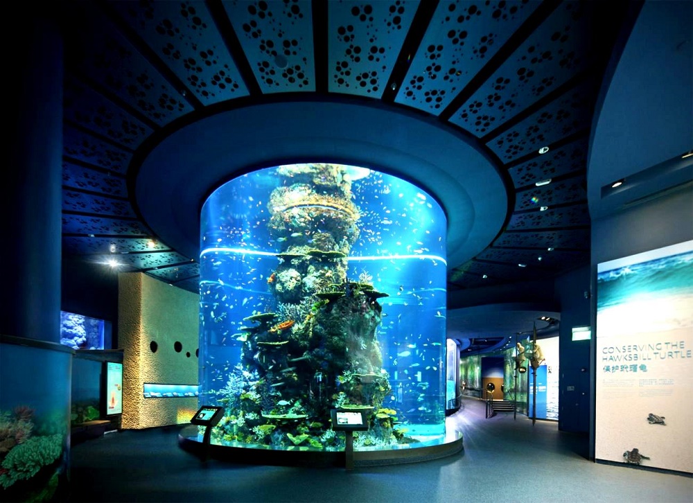 موزه دریایی و تئاتر تایفون در این آکواریوم سنگاپور