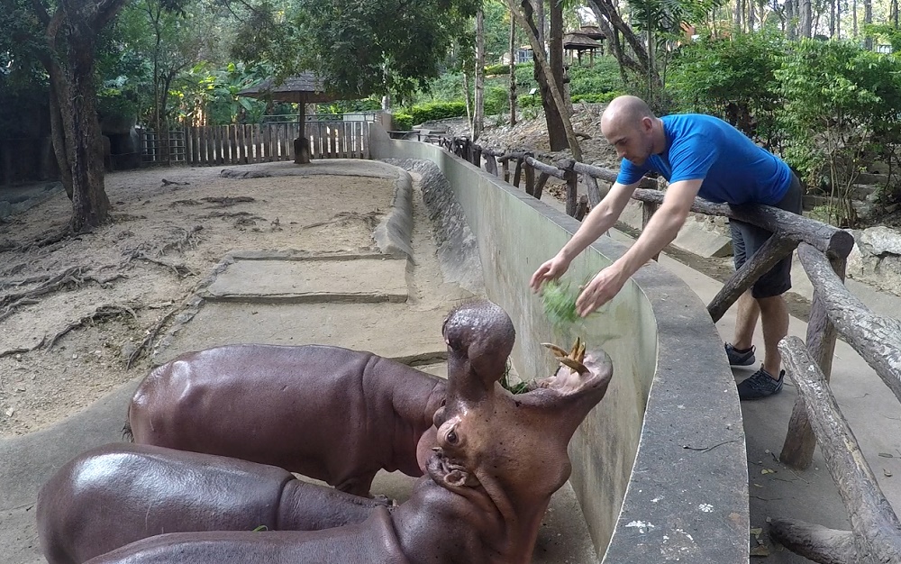 گشت و گذار در باغ وحش چیانگ مای
