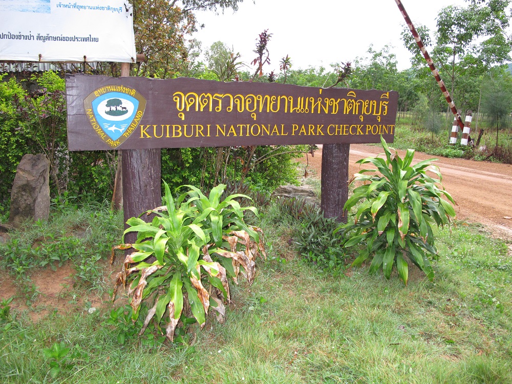 پارک ملی کوری بوری در تایلند