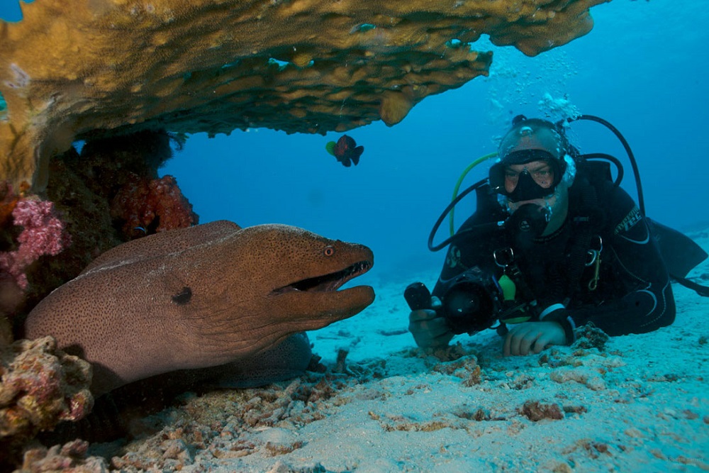 غواصی، یکی از بهترین تفریحات جزایر سیمیلان