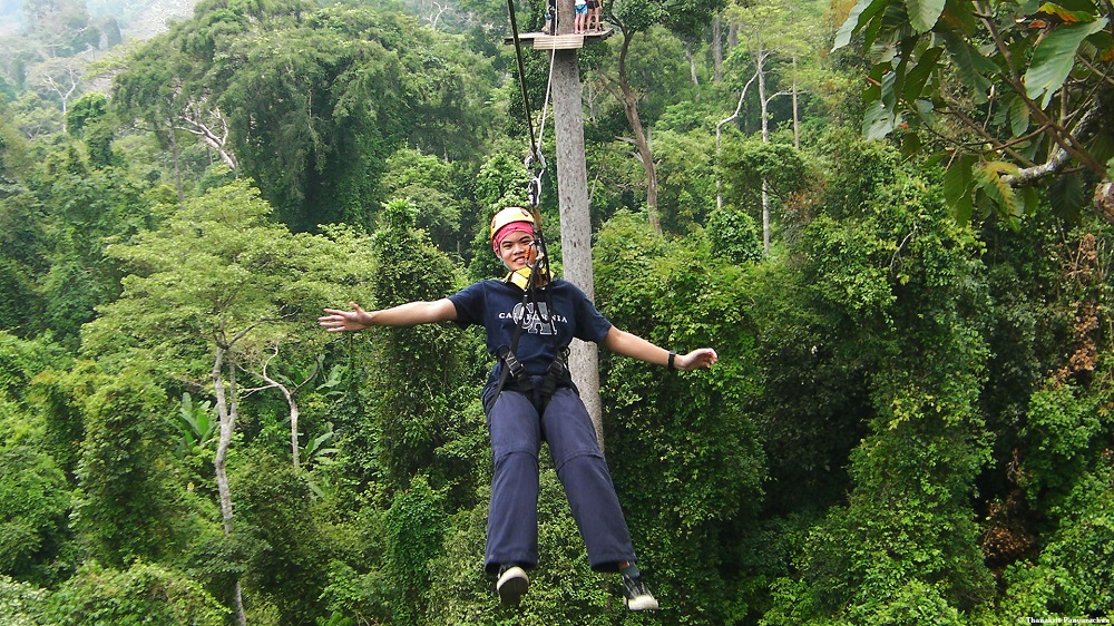 تور پرواز در ارتفاعات جنگل گیبون تایلند