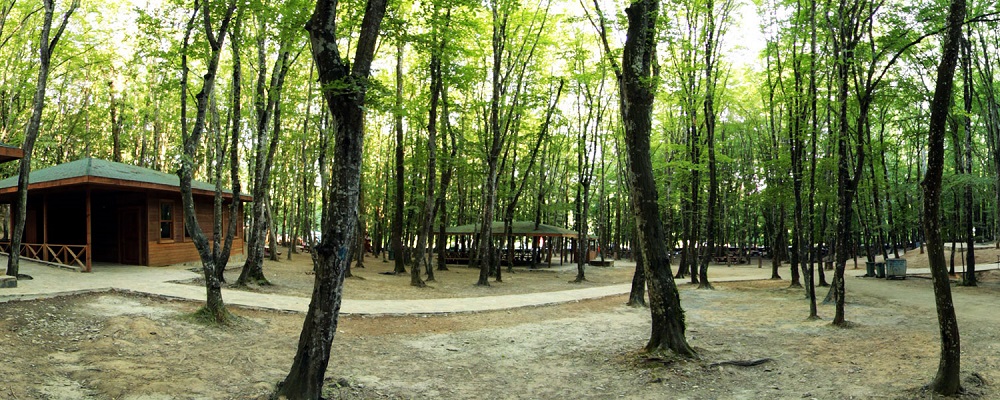 اکوسیستم پارک جنگلی کیرازلی استانبول