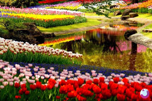 رنگارنگ ترین نقطه روی کره زمین در 1403 کجاست؟