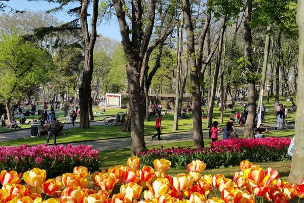  پارک گلخانه استانبول + تصاویر 