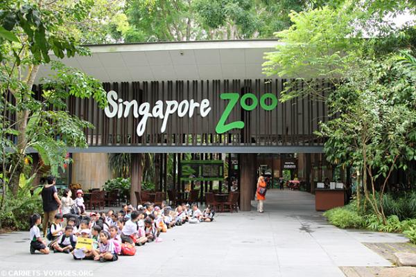باغ وحش سنگاپور + تصاویر
