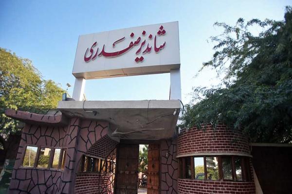  رستوران شاندیز صفدری کیش + تصاویر 