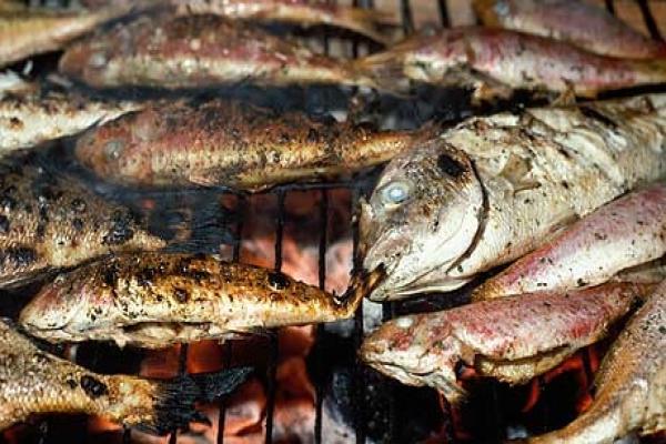  بهترین رستوران‌های غذای دریایی در استانبول 