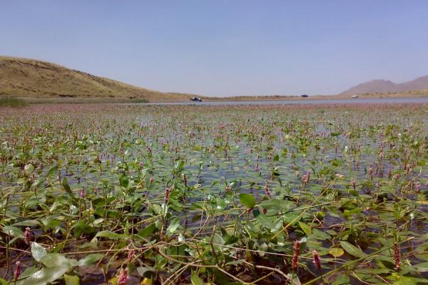  دریاچه دریابک + تصاویر 