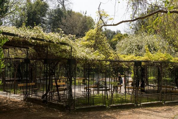 باغ ملی آتن یونان + تصاویر