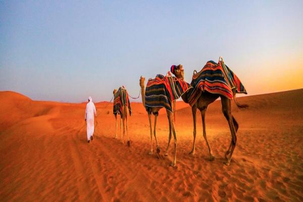  راهنمای سفر به دبی 