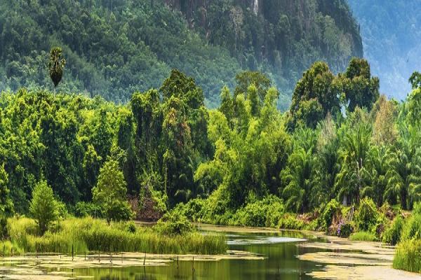  بزرگترین پارک های ملی در تایلند + تصاویر 