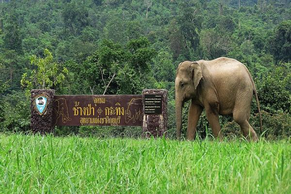 پارک ملی کوری بوری در تایلند + تصاویر