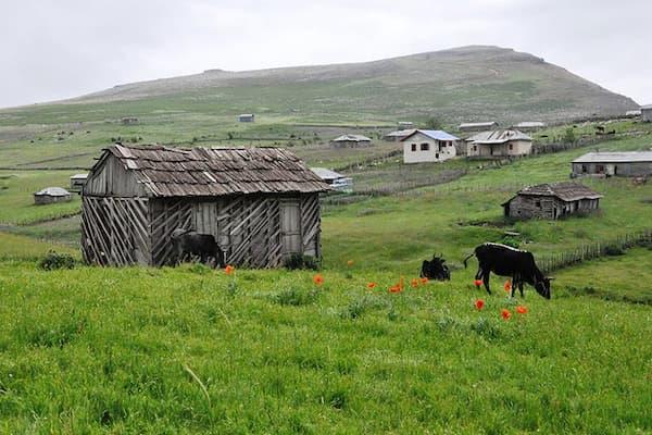  سوباتان کجاست؟ 