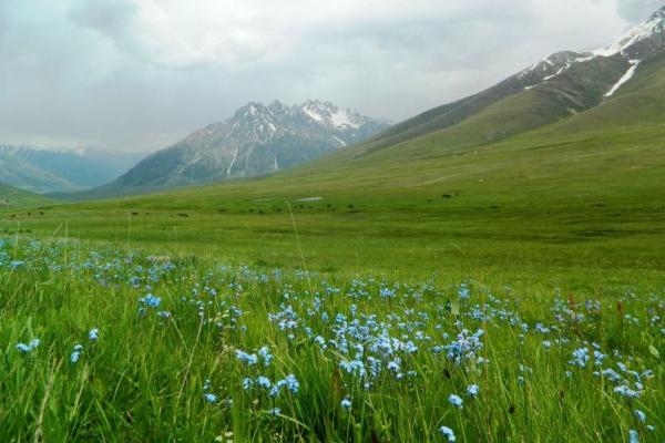 پارک ملی پامیر جاذبه گردشگری در تاجیکستان + تصاویر