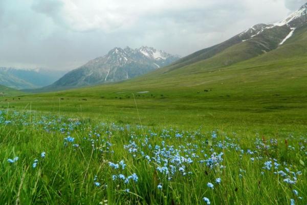  پارک ملی پامیر جاذبه گردشگری در تاجیکستان + تصاویر 