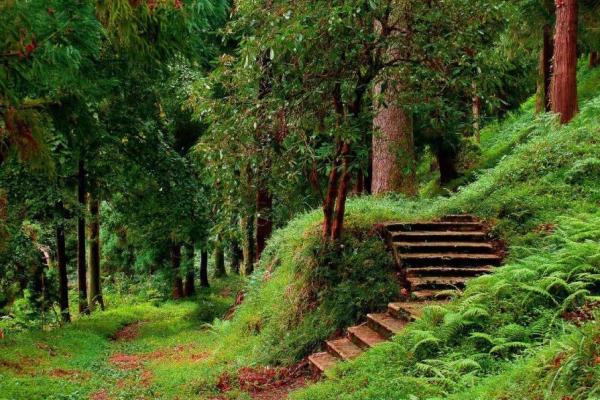  طبیعت و دیدنی های گرجستان + تصاویر 
