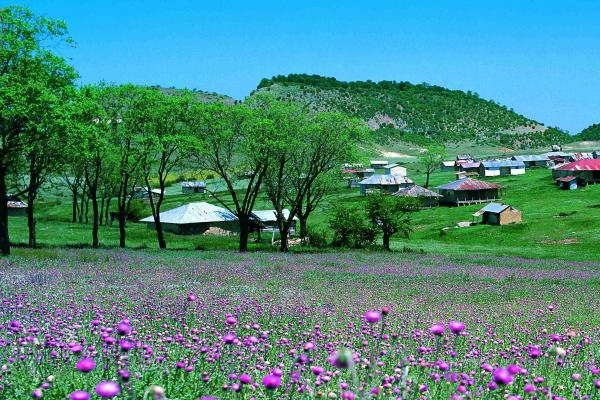  از ابر تا بلوط , روستای مازیچال+تصاویر 